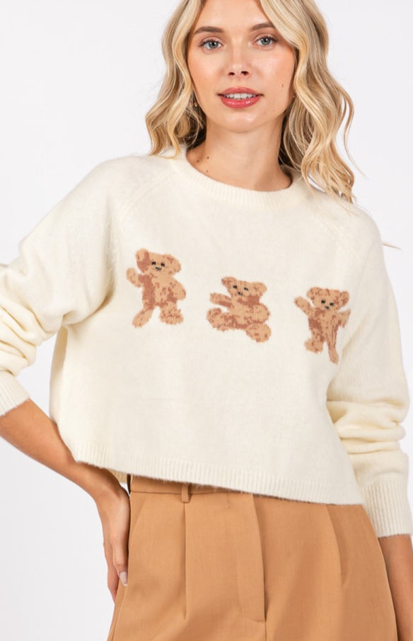 Beary Cozy Knit